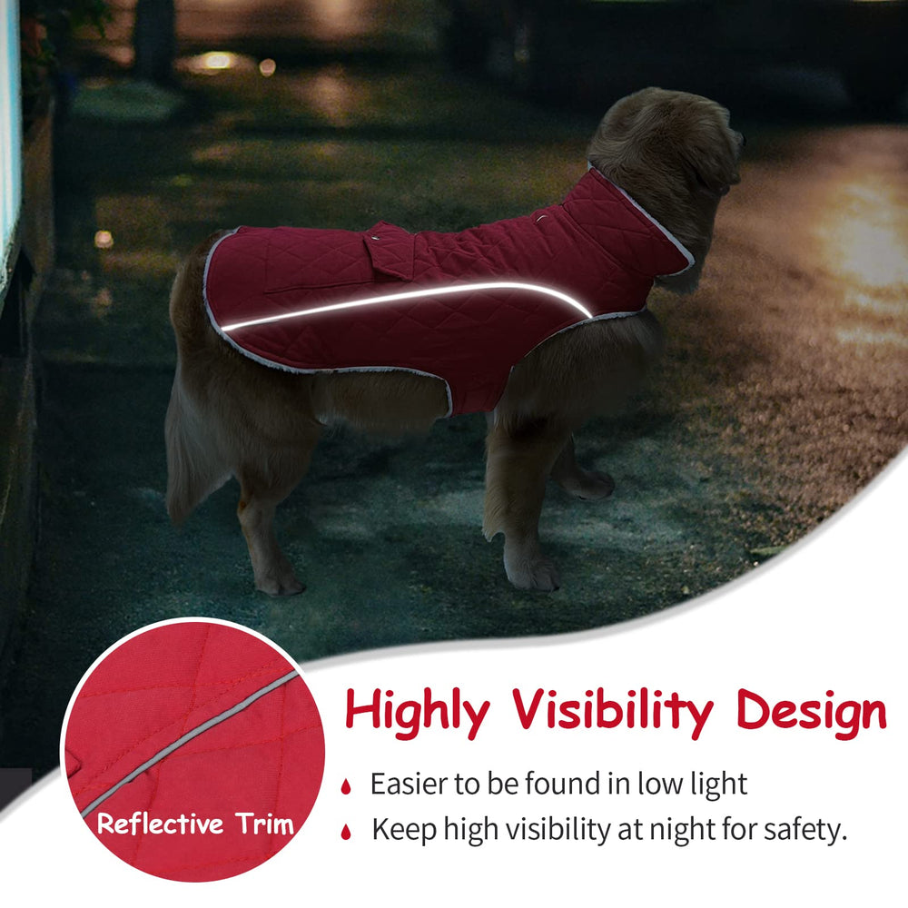 Malier dog winter coat windproof fabric keeps dogs comfortable outdoors.