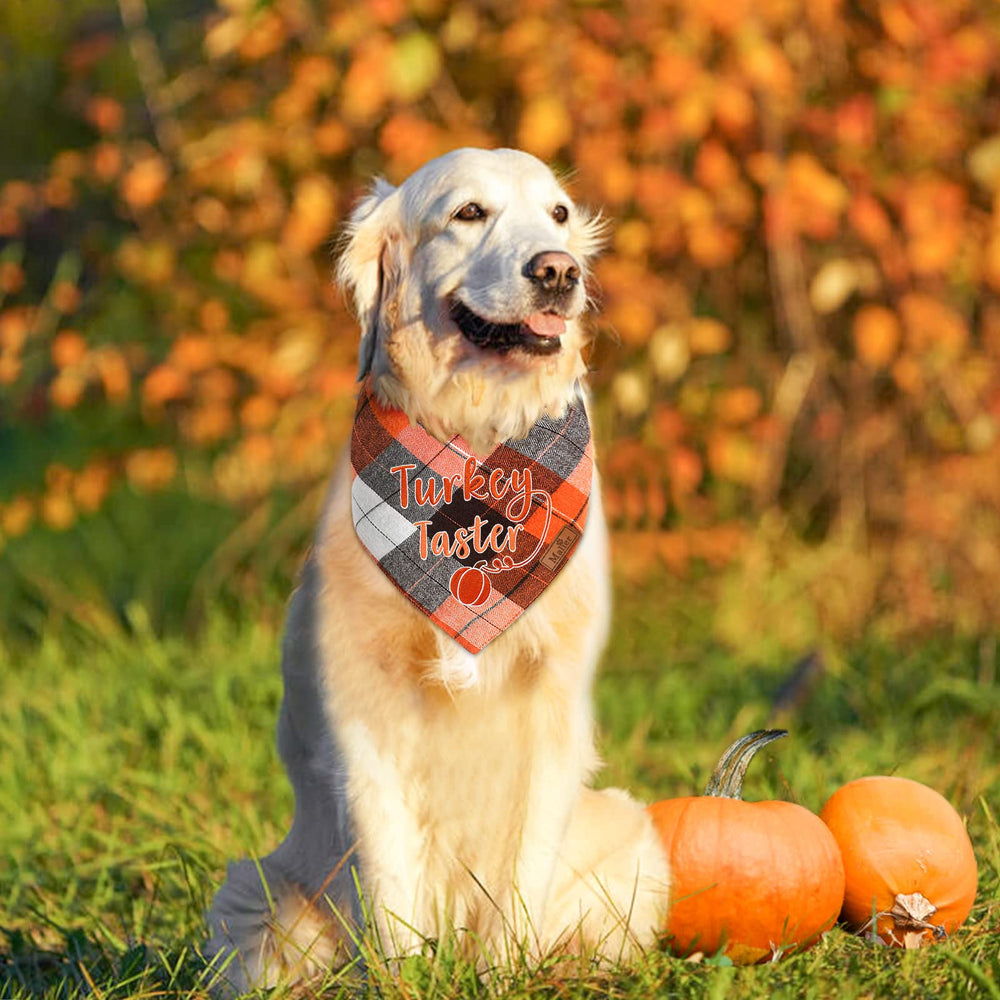 Malier Holiday Dog Bandana gift-ready packaging suits pet gifting.