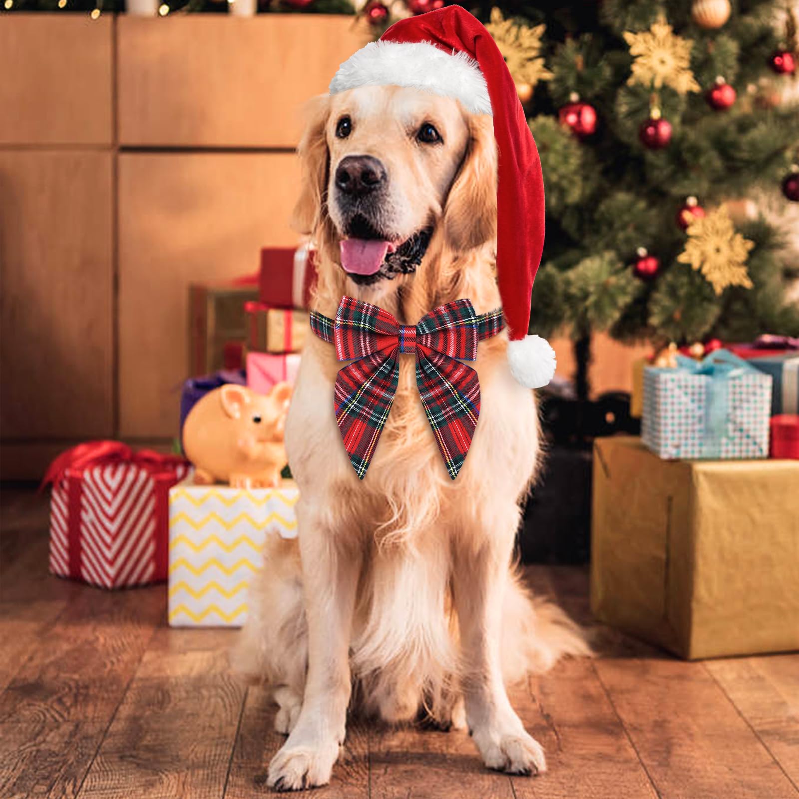 Malier holiday dog collar ready for parties and daily wear.