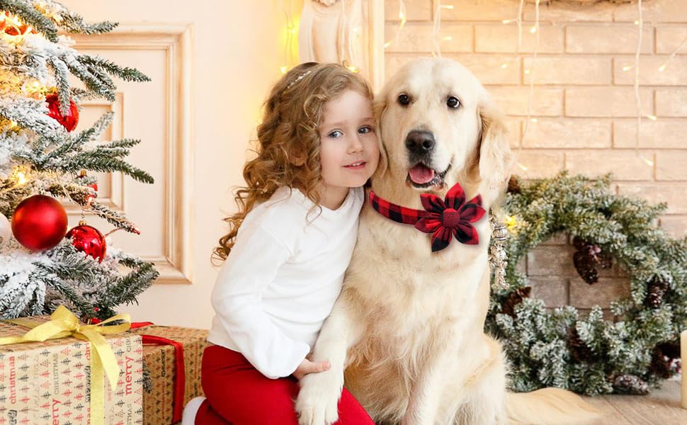 Malier multi-occasion Christmas collar ideal for festive wear