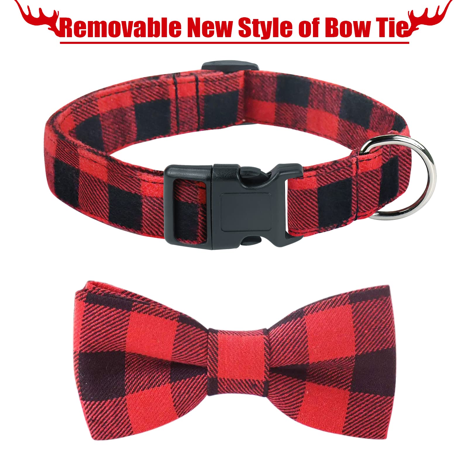 Malier Christmas party collar on a pet for celebrations