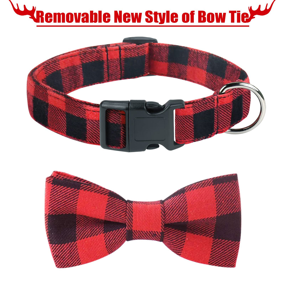 Malier plaid-pattern dog collar ready for holiday photos