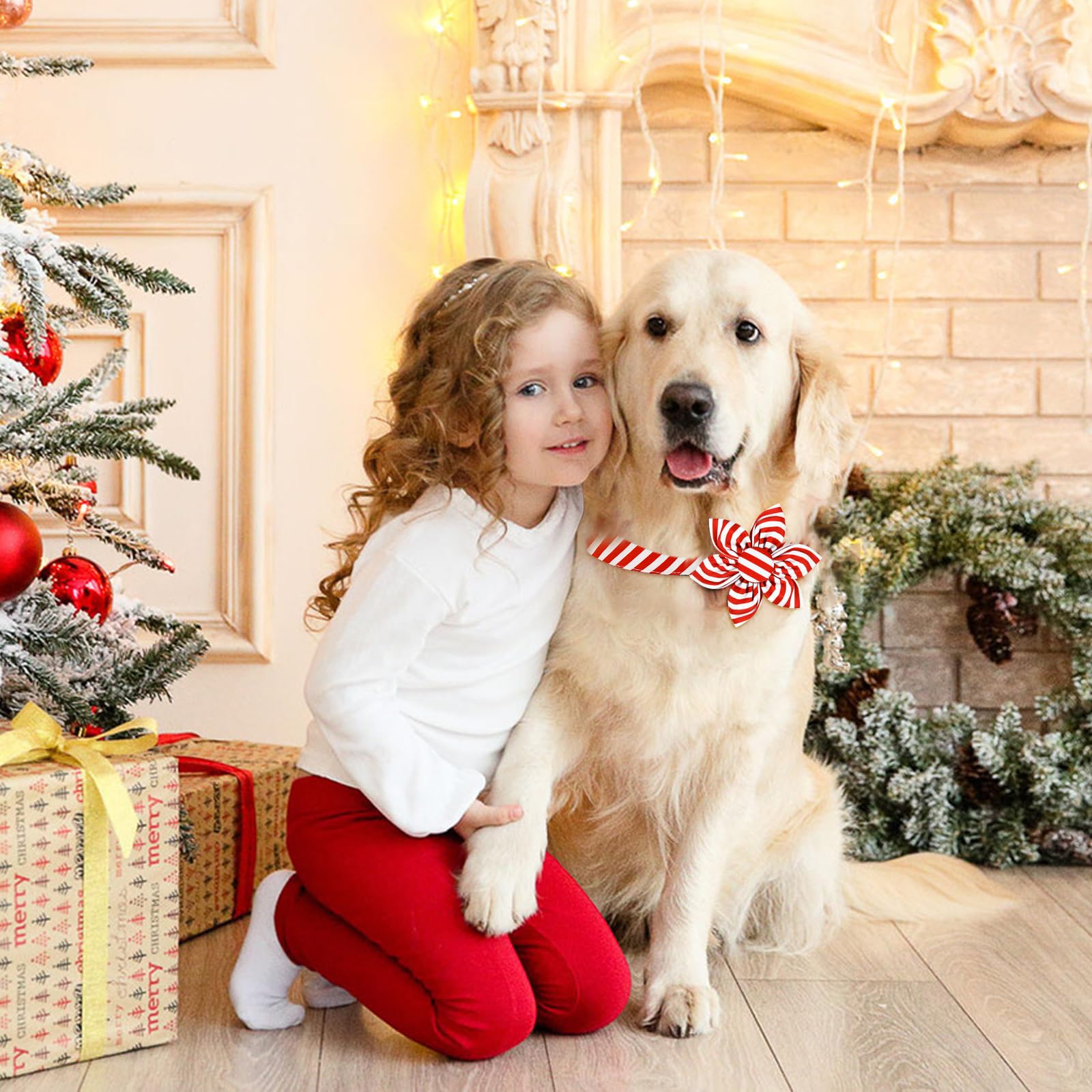 Malier premium cotton and polyester dog collar blend, durable and comfortable