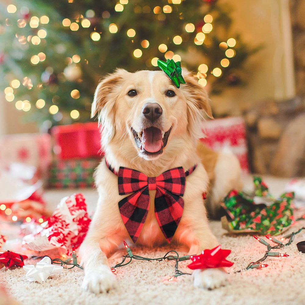 Malier removable bow-tie feature allows mixed collar styling.