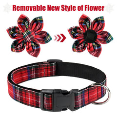 Malier removable flower and bow-tie detail for versatile styling.