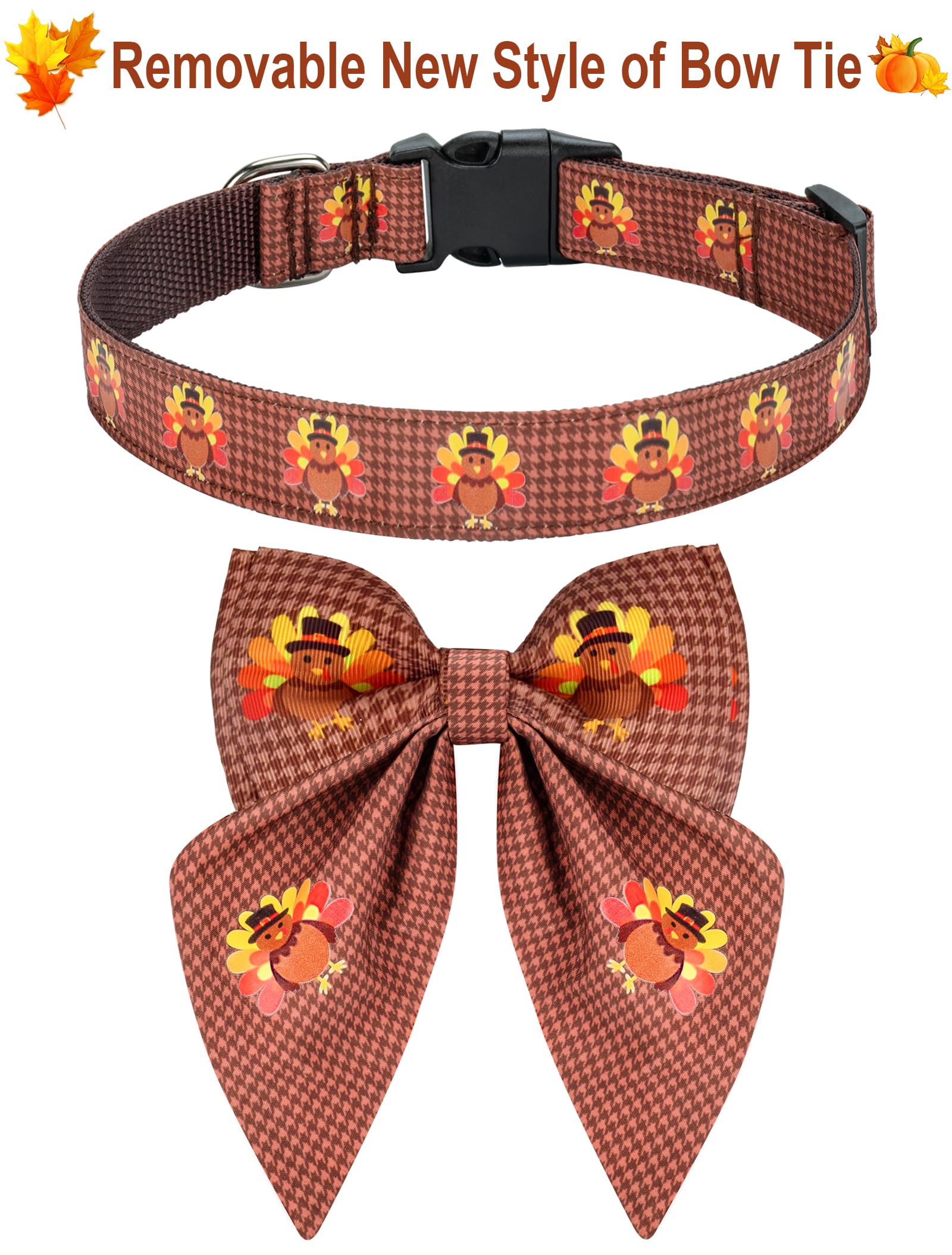 Malier Thanksgiving collar with durable buckle shown on a pet.