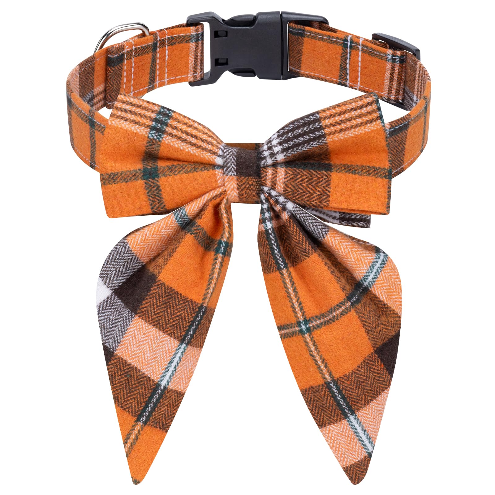 Malier thanksgiving dog collar with bow tie on a festive walk