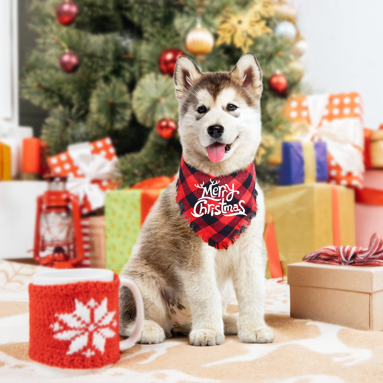 Malier two pack dog bandana pack-shot showing value