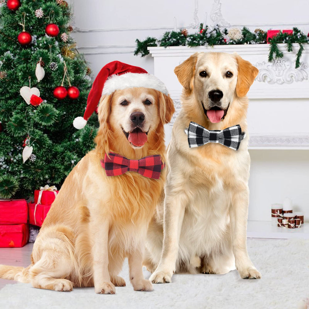 Malier two-pack dog collars offer flexible outfit options