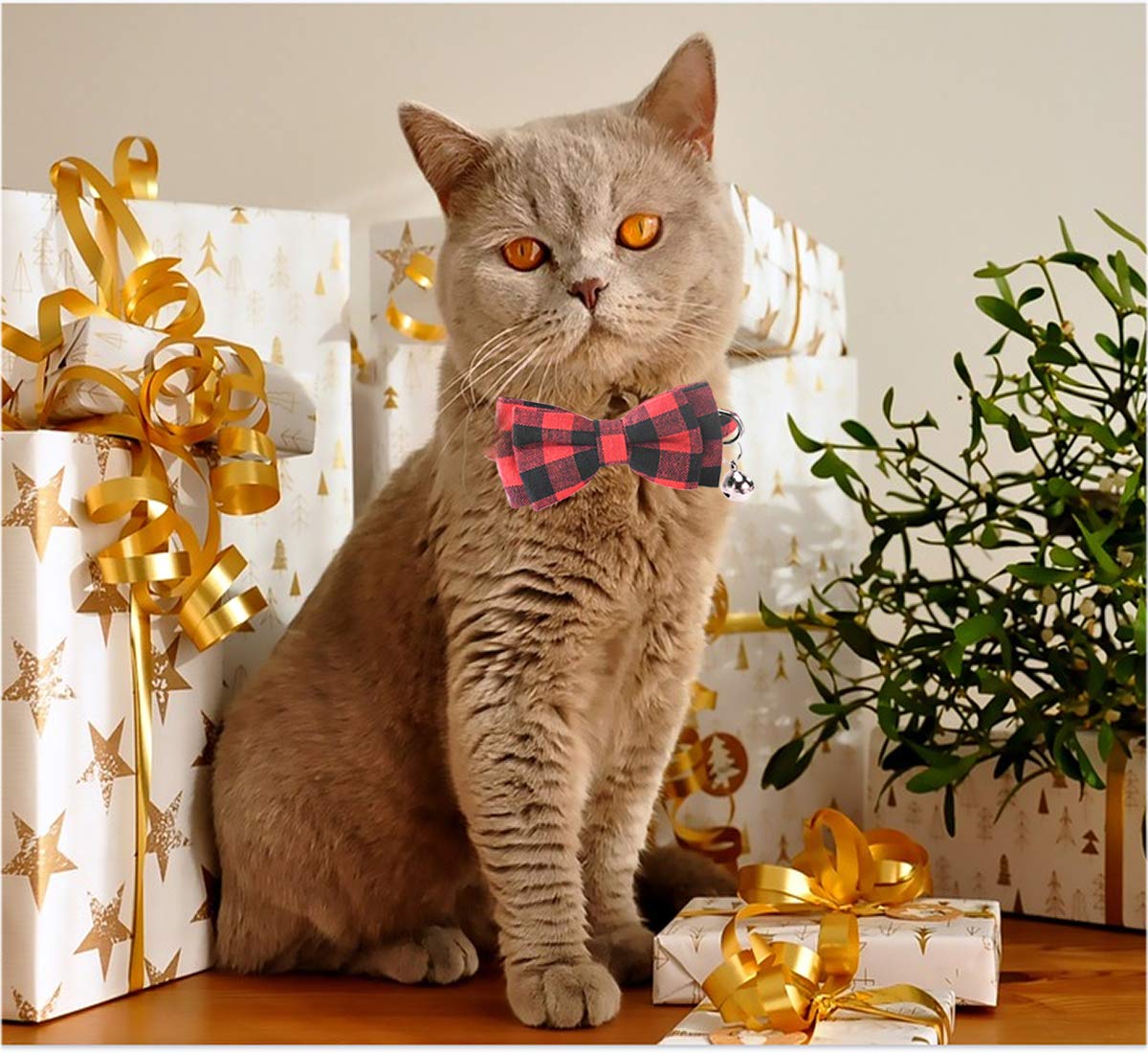 Malier two-pack gift-ready collars for holiday gifting