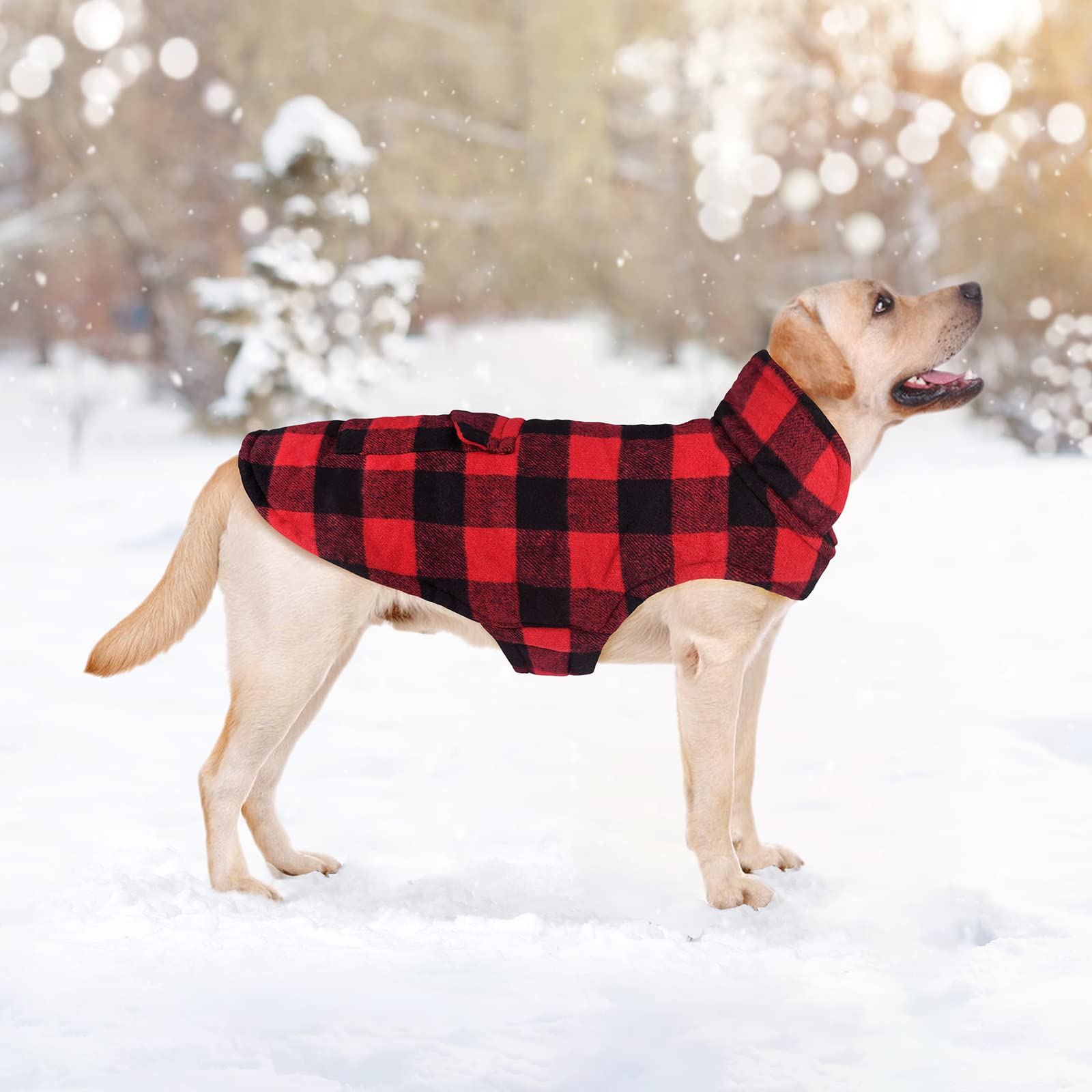 Malier windproof outer keeps dogs comfortable in breezy weather