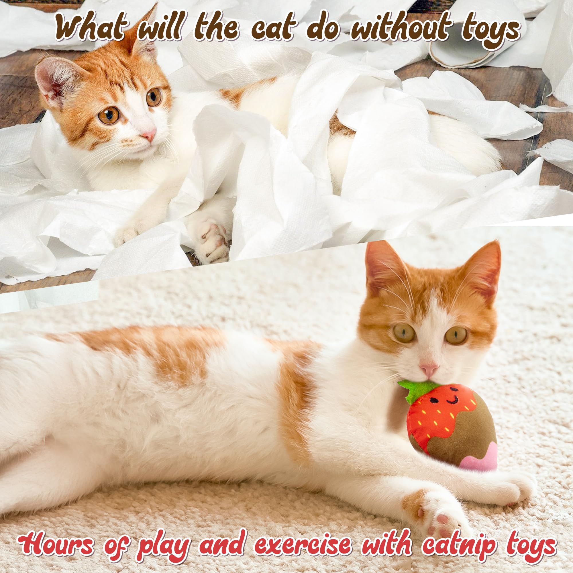MALLMALL6 catnip toy indoor play setup supports daily exercise and solo fun.
