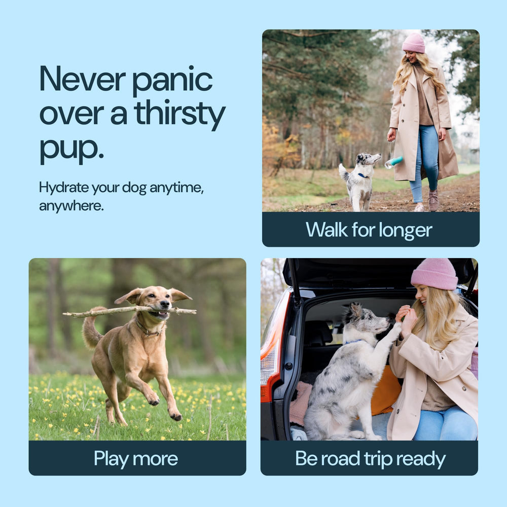 MalsiPree BPA-free dog water bottle supports safe daily hydration.