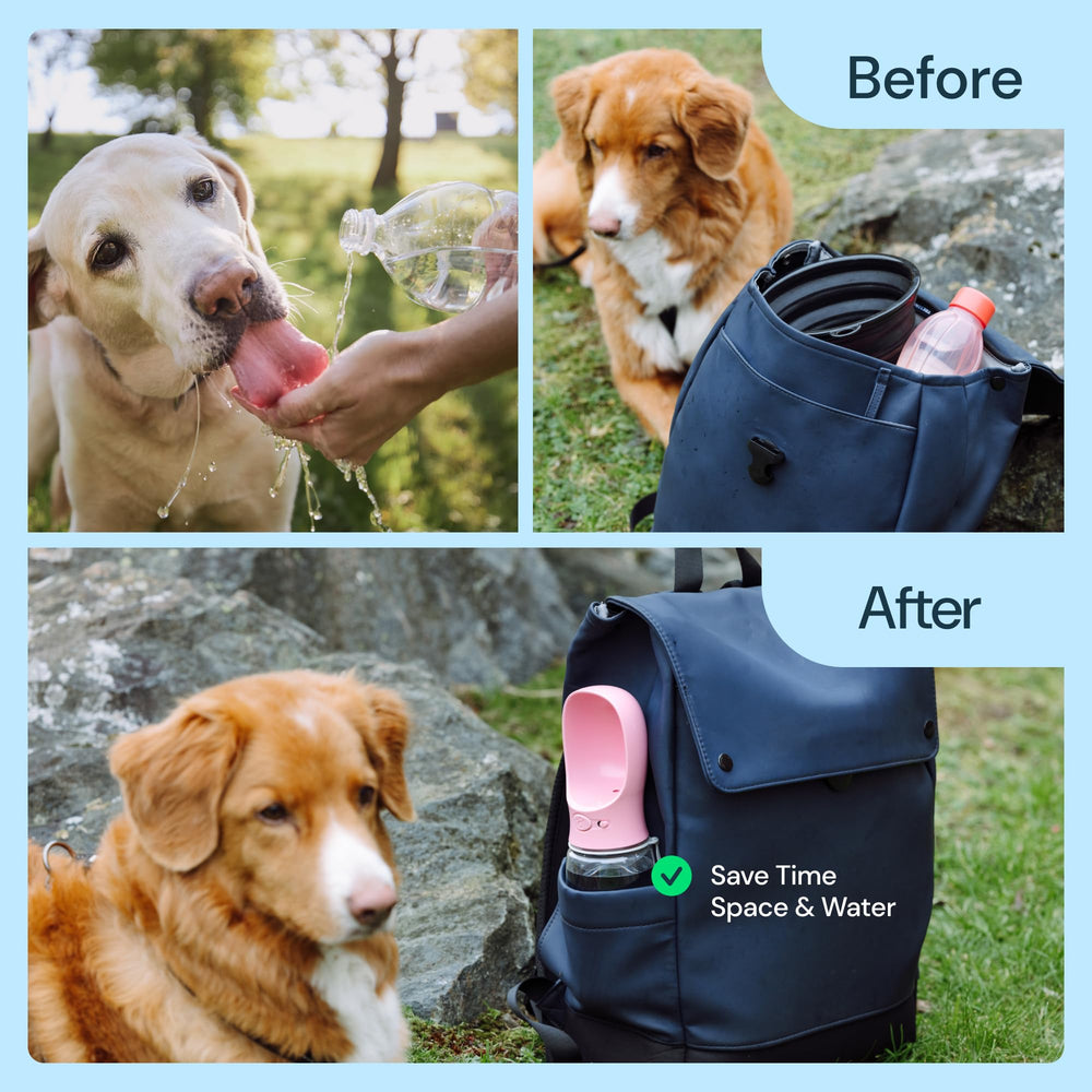 MalsiPree BPA-free stainless steel ensures safe, durable hydration.