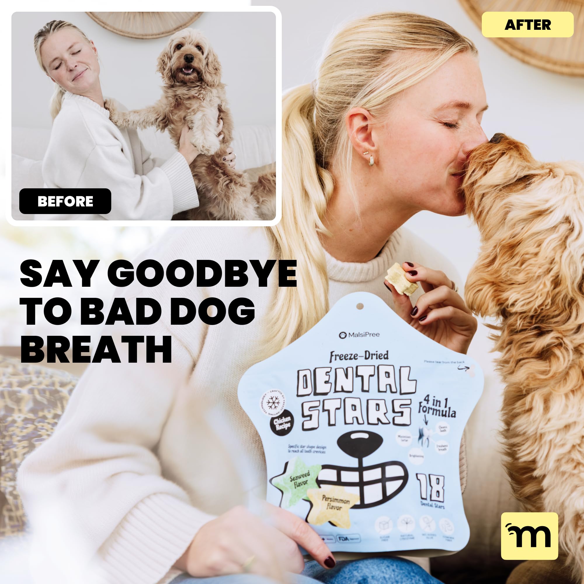 A dog enjoys a MalsiPree chew during a daily routine