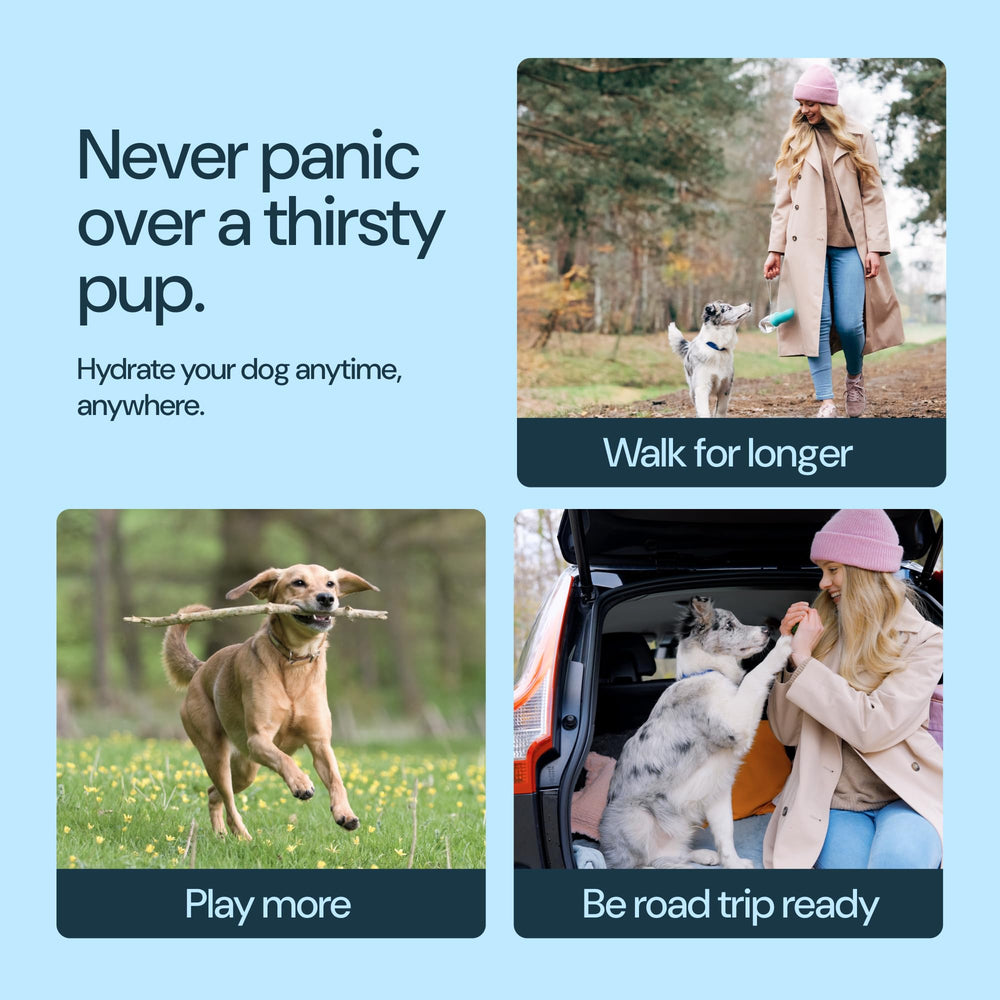 MalsiPree one-hand-use design frees your other hand during walks