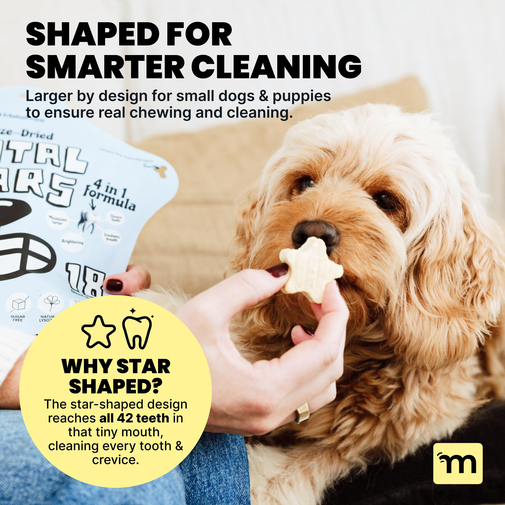 Puppy friendly chew suitable for dogs 3 months and older