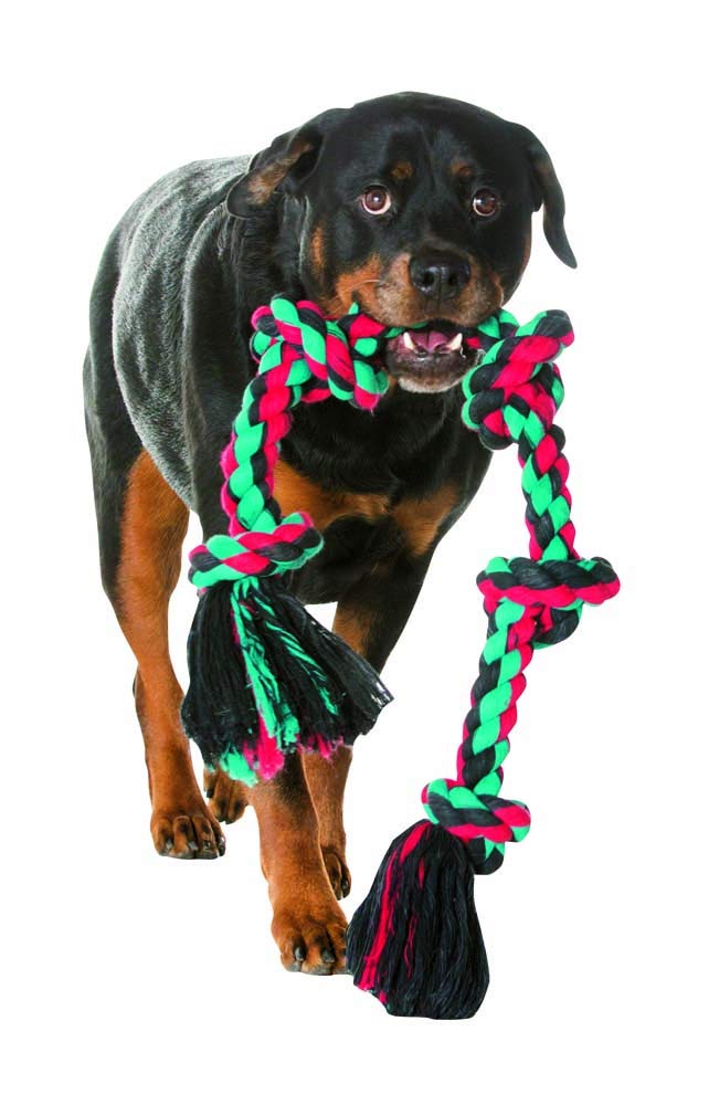 Mammoth Flossy Chews multi-color rope tug during fetch and interactive play sessions.