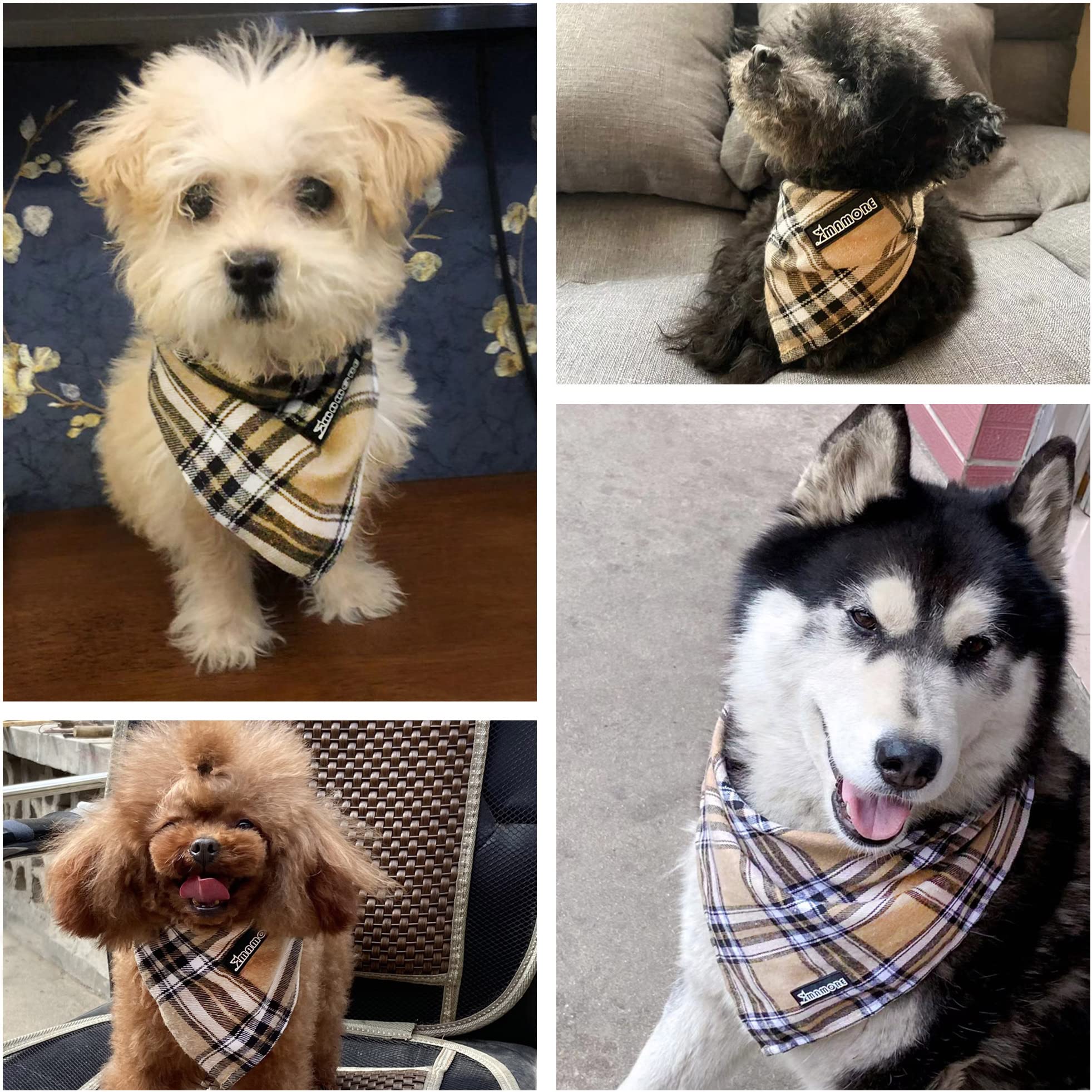 MAMORE bandana on dog during walk demonstrates versatile everyday accessory