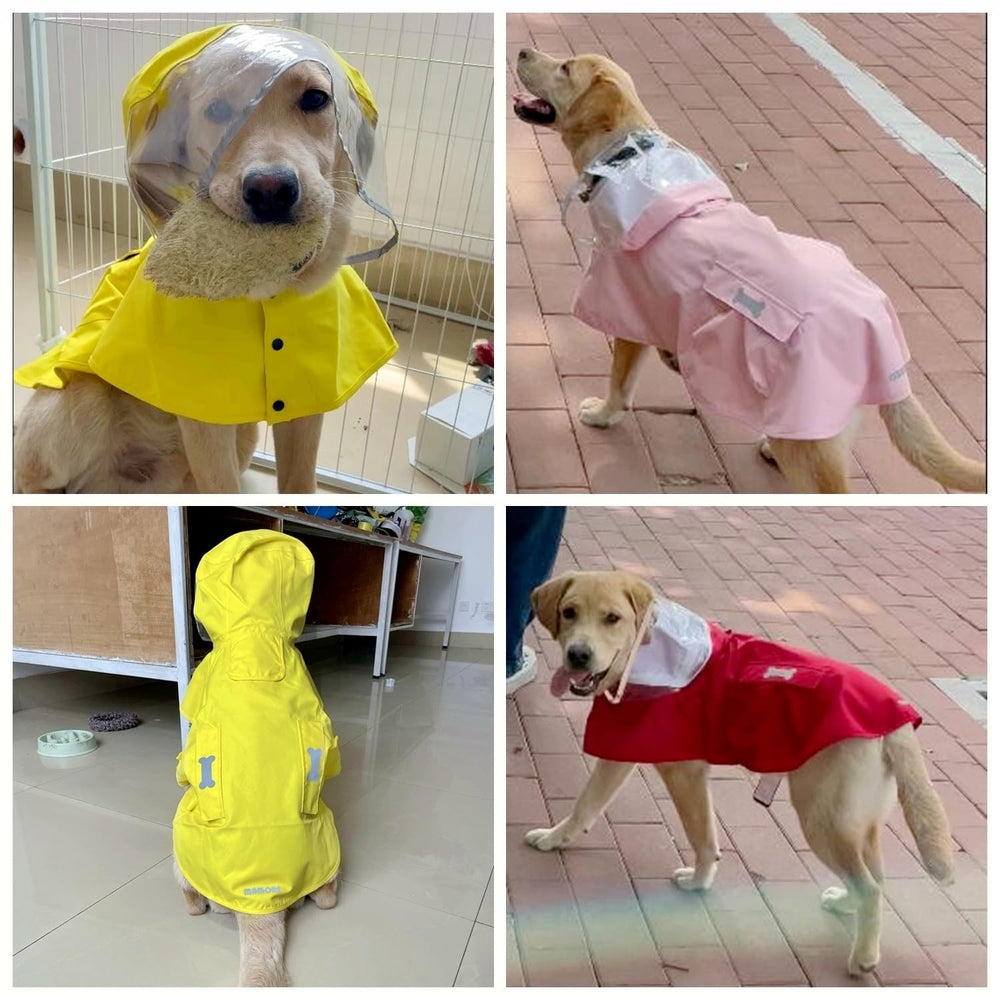 MAMORE dog raincoat-elastic-leg-straps secure position during active rain walks