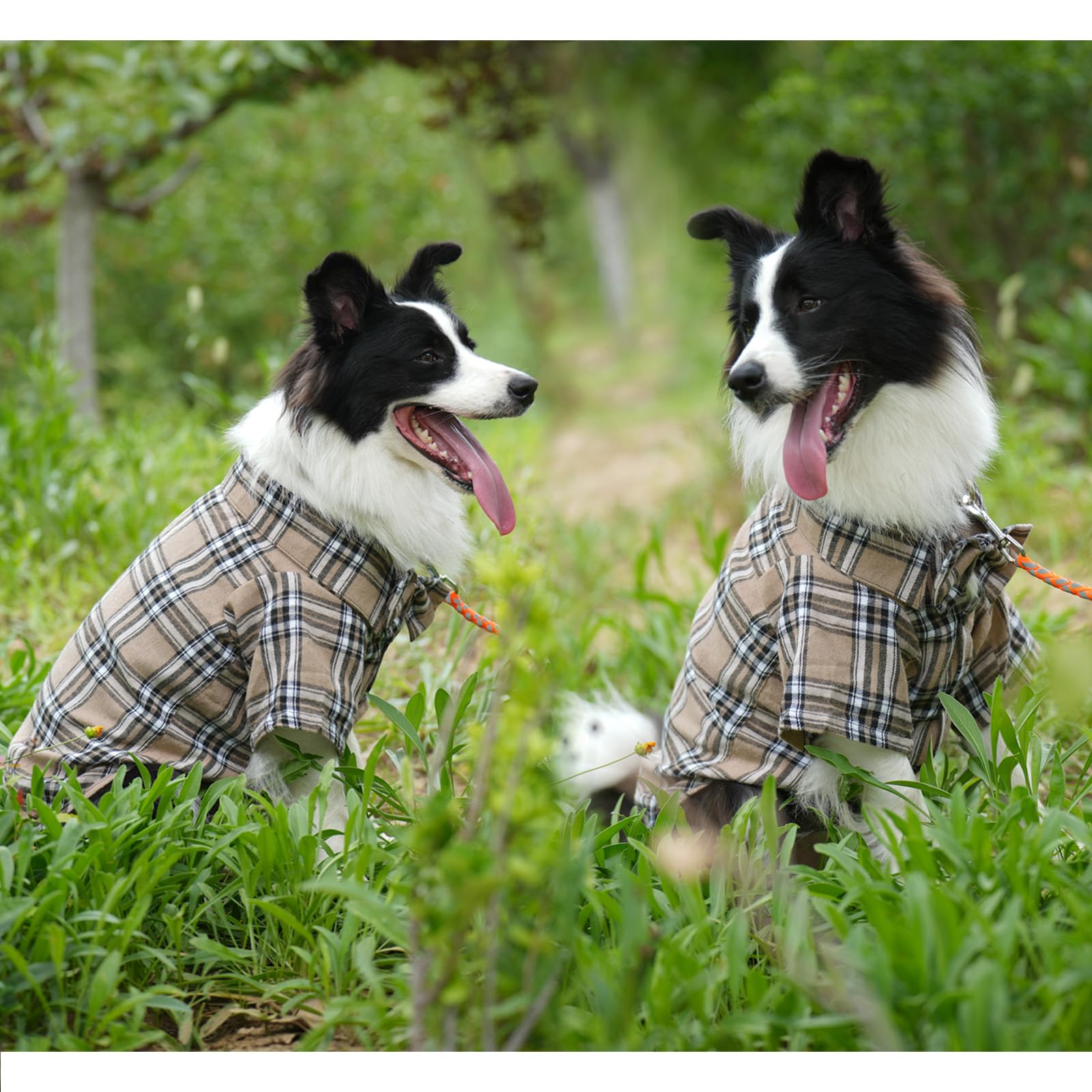 MAMORE plaid dog shirt fits small pets with comfortable sizing guidance.