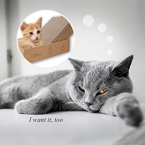 Mankaide scratch box setup helps reduce furniture scratching and waste.
