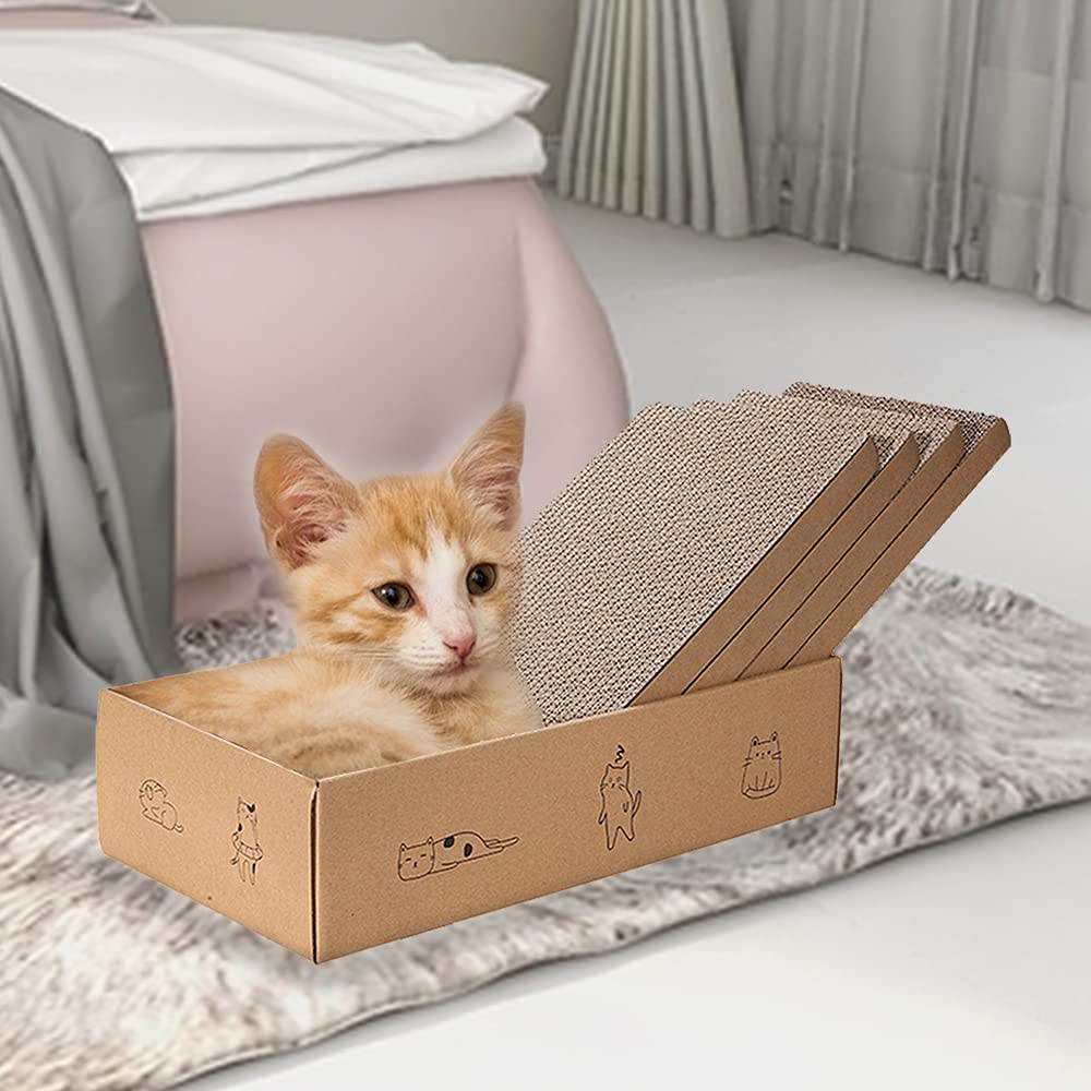 Mankaide packaging box doubles as a cozy resting spot for cats.