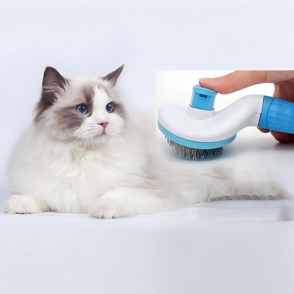 ManLinKei grooming session promotes bonding between you and your cat