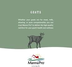 Manna Pro Cut Heal Hoof Heal applied to help maintain hoof moisture balance