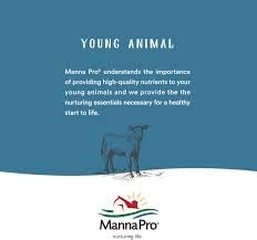 Manna Pro Cut Heal Hoof Heal results in a glossy, healthy-looking hoof finish