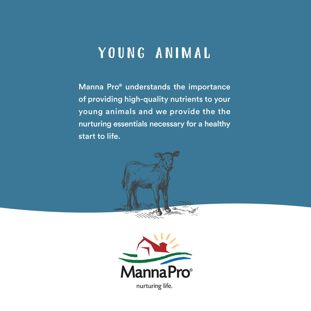 Manna Pro Hen Healer helps keep affected areas soft and supple during healing.