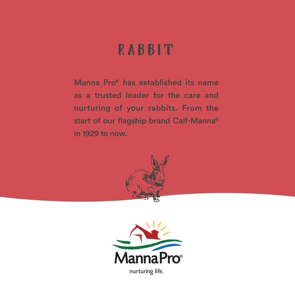 Manna Pro Hen Healer ointment packaging shows easy application for busy coop routines.