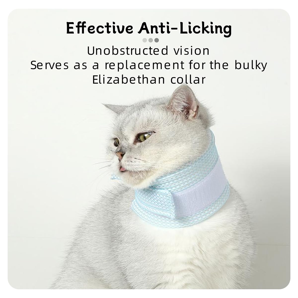 MANON ROSA anti-scratch-anti-lick protection helps minimize licking and scratching