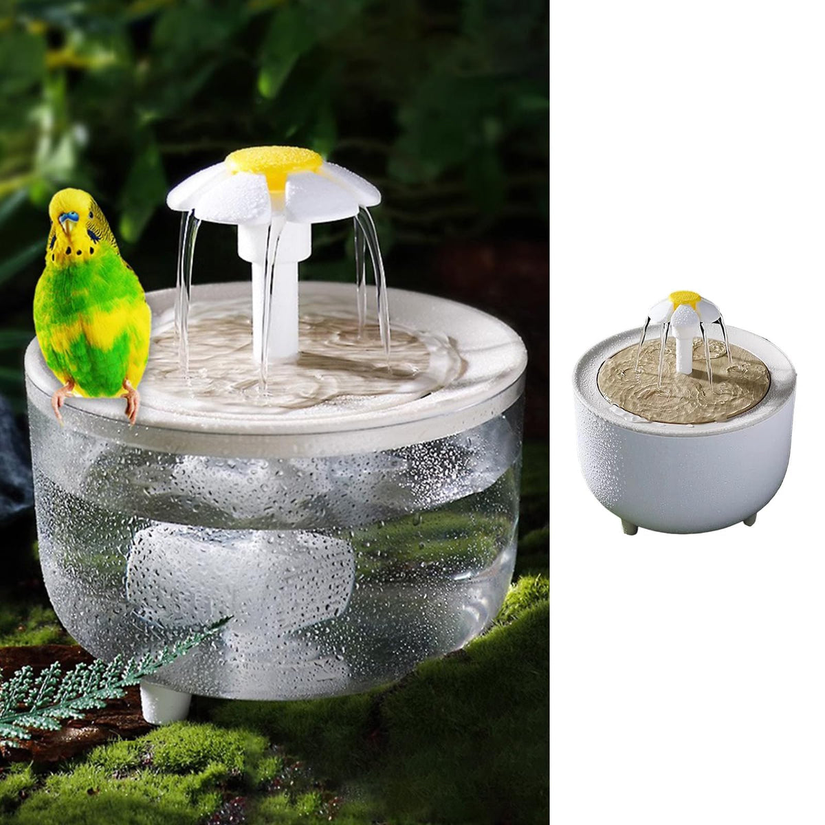 MANON ROSA Bird Bath parakeet water flow shows circulating water