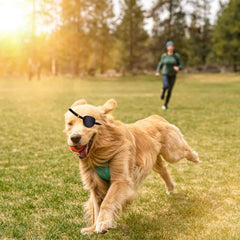 MANON ROSA dog eye patch groove design provides comfortable wear.