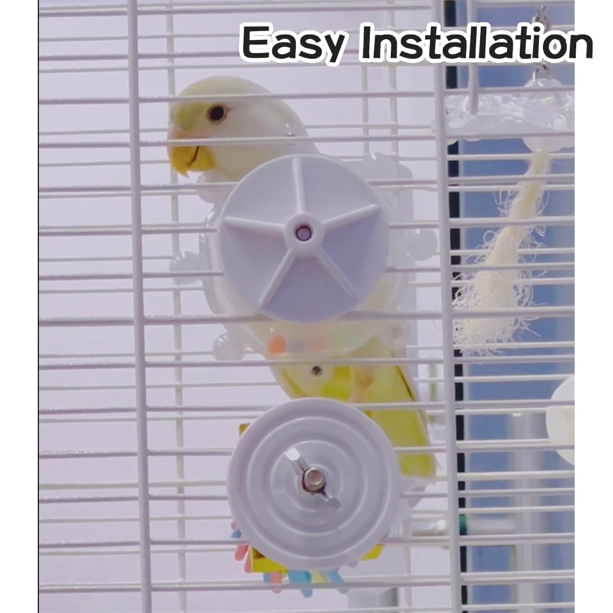 Manon Rosa durable acrylic construction ensures sturdy bird toy for daily play.