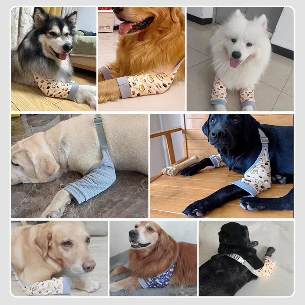 MANON ROSA elbow pads worn by a dog to protect injured leg