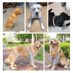 MANON ROSA protección de herida en codo de perro para uso post lesión.
