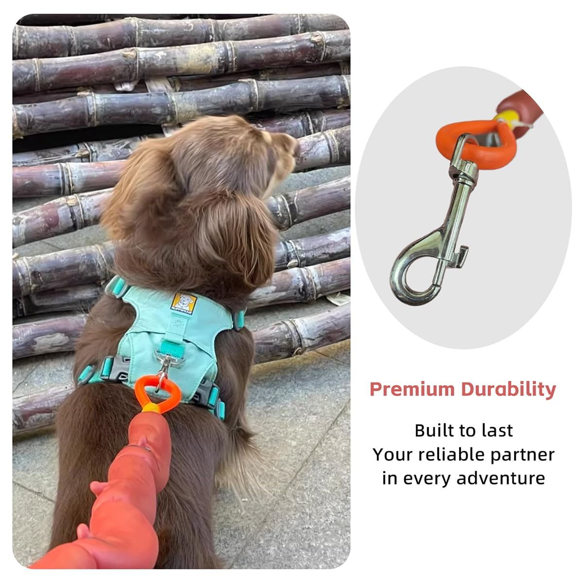 MANON ROSA sausage leash cat-friendly-use for secure indoor-outdoor fun.
