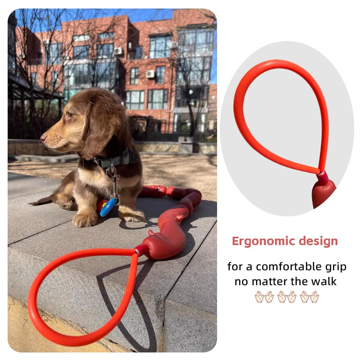 MANON ROSA sausage leash dog-walk action for carefree outdoor adventures.