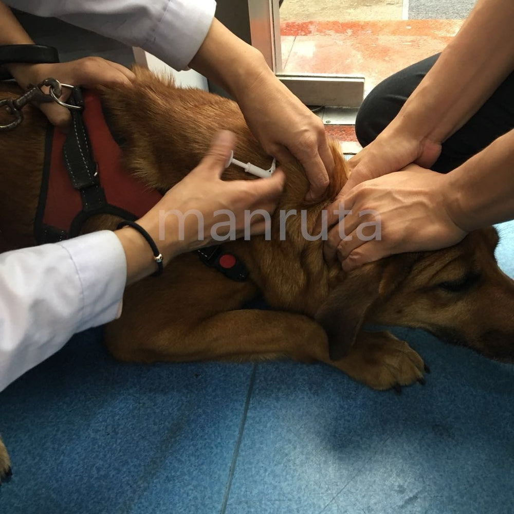 Manruta pet safety management kit illustrates proactive care.
