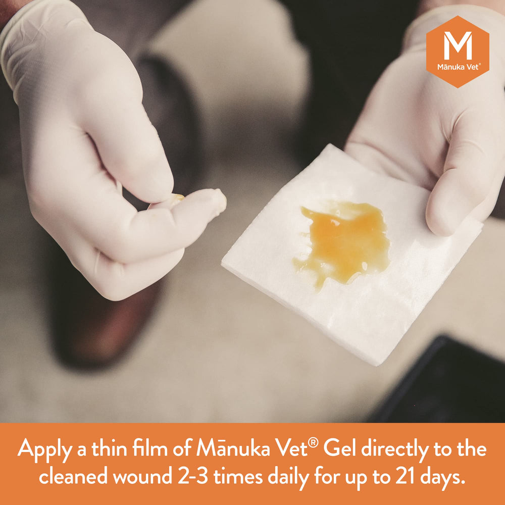 Manuka Vet cat wound care area demonstrates safe application under bandages