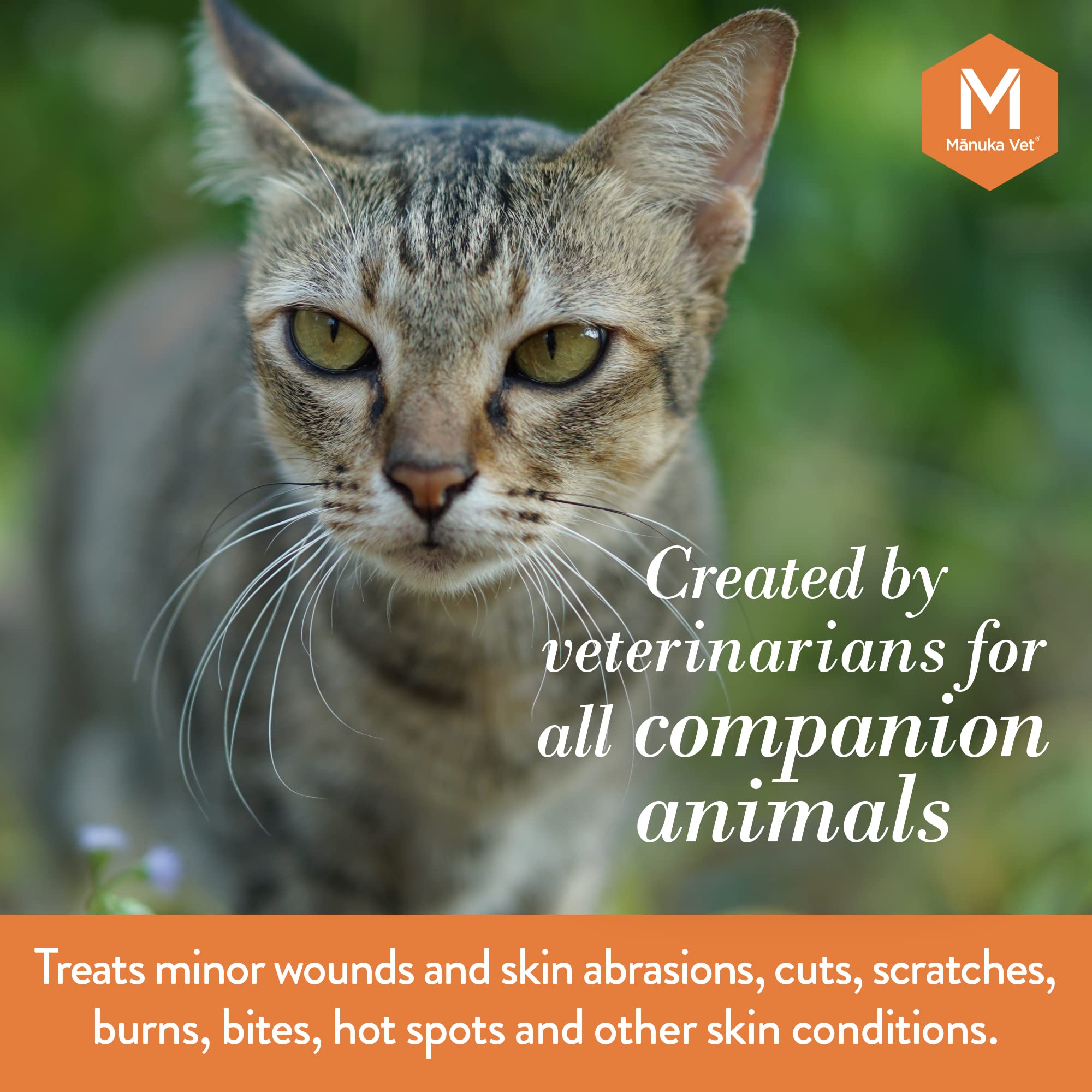 Manuka Vet horse wound treatment spot communicates versatile use across species
