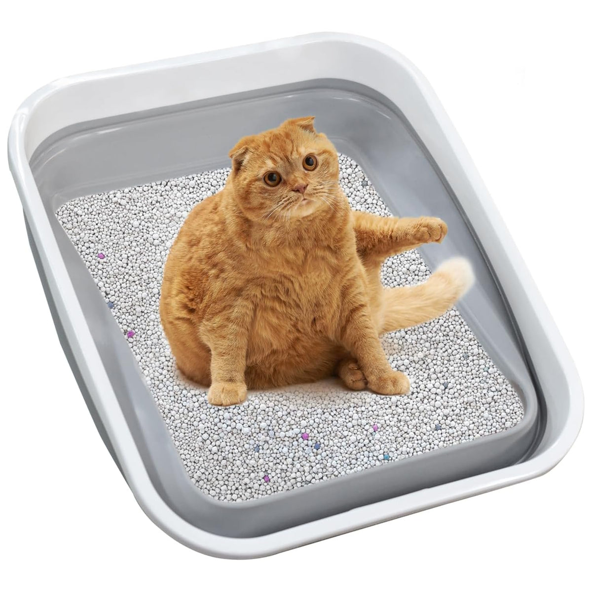 Maohegou large cat litter box open dimensions showcase spacious interior for bigger cats.