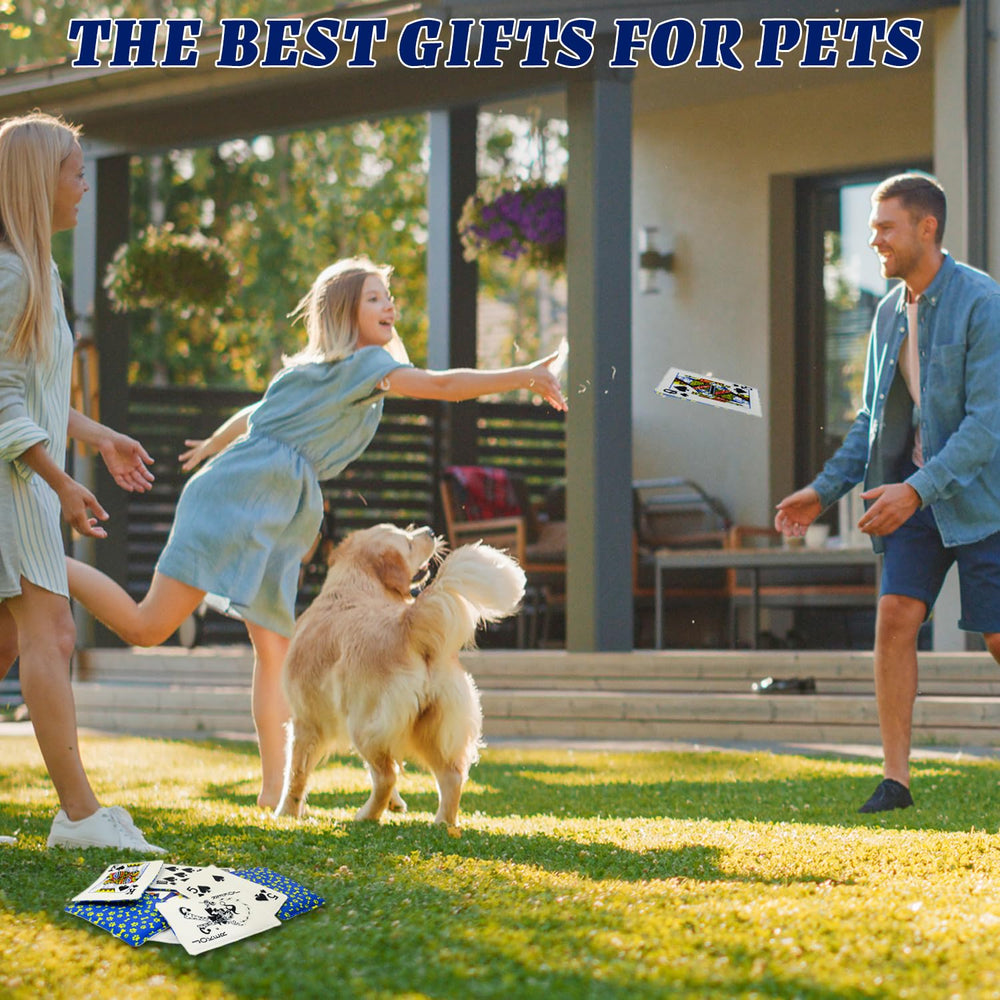 MAOOOOB black dog toy set ideal for couch-side play.