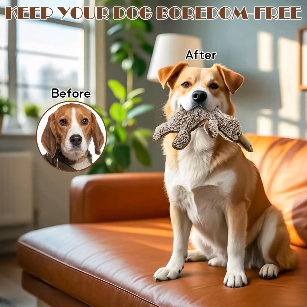 MAOOOOB platypus toy suitable for small to large breeds during birthday gifting.