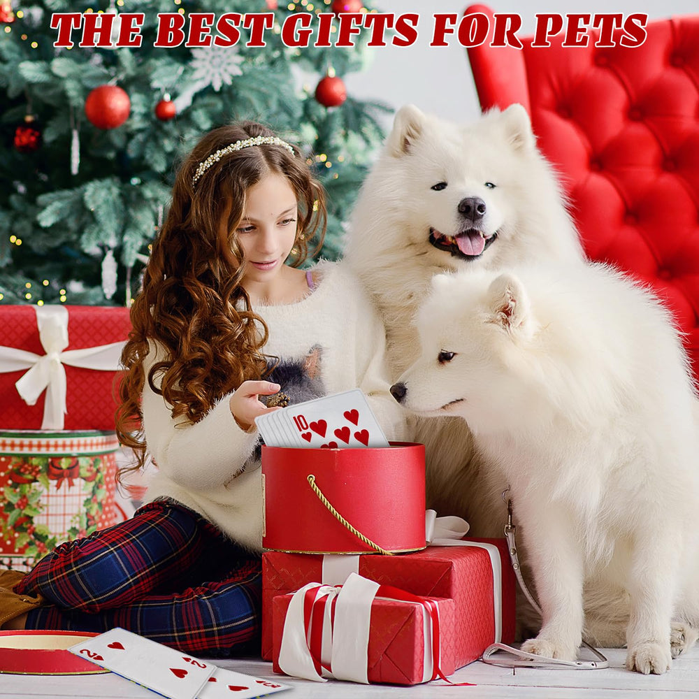 MAOOOOB poker dog toy birthday gift red - festive fun for dogs