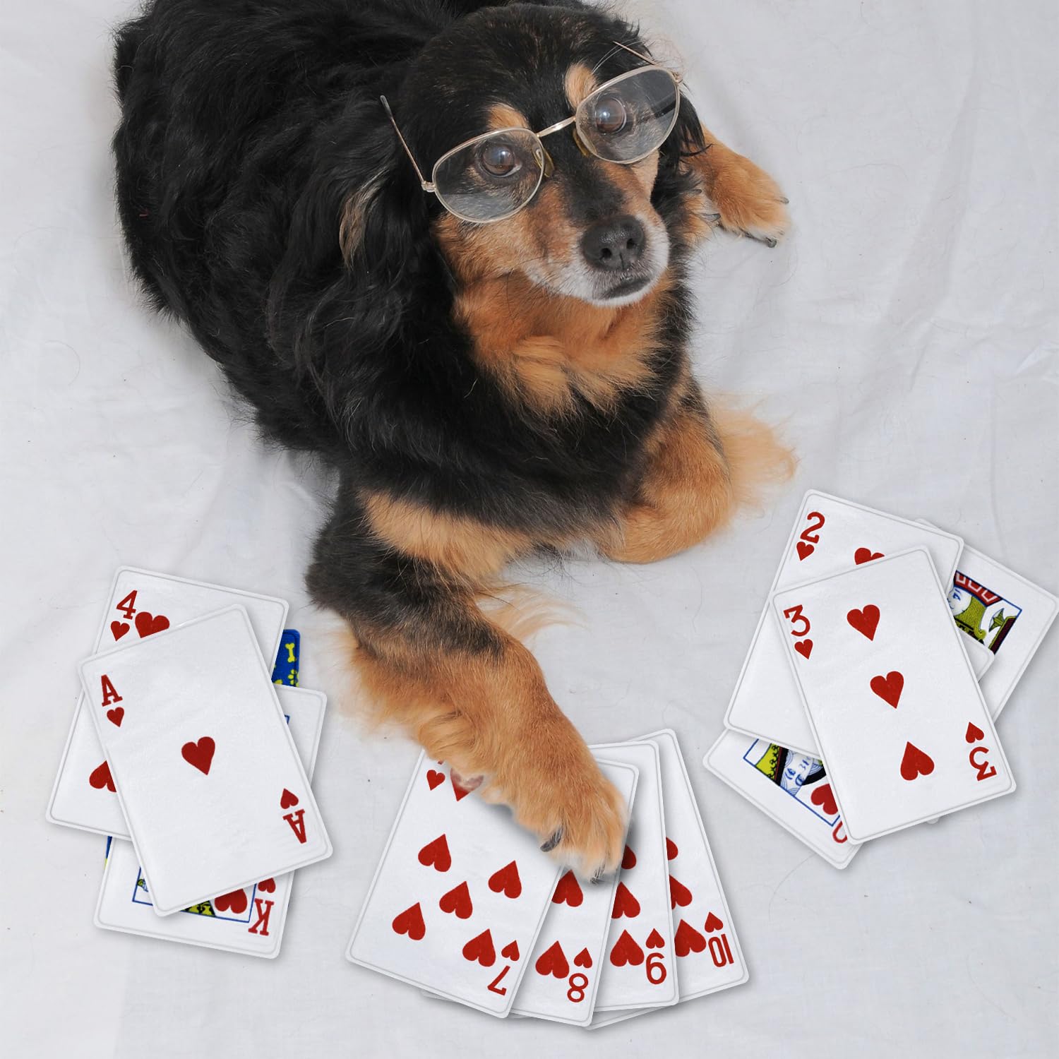 MAOOOOB poker dog toy puppy play red - great for fetch and tug