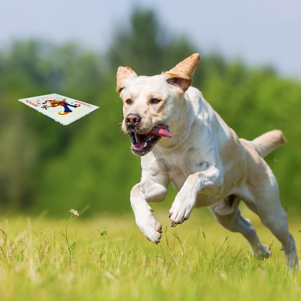 MAOOOOB small to medium puppies toy set ready for gentle play.