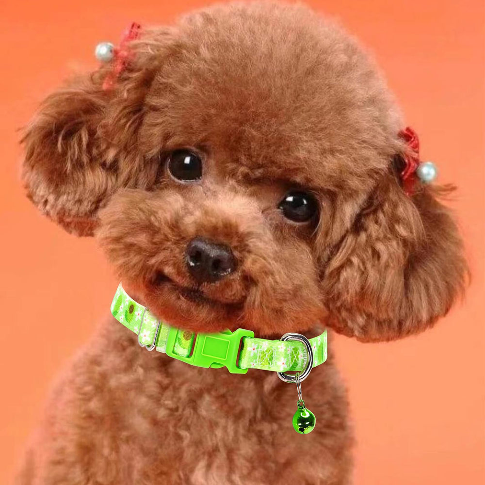 MAOWUWUJOZ Avocado collar close-up of durable D-ring and webbing